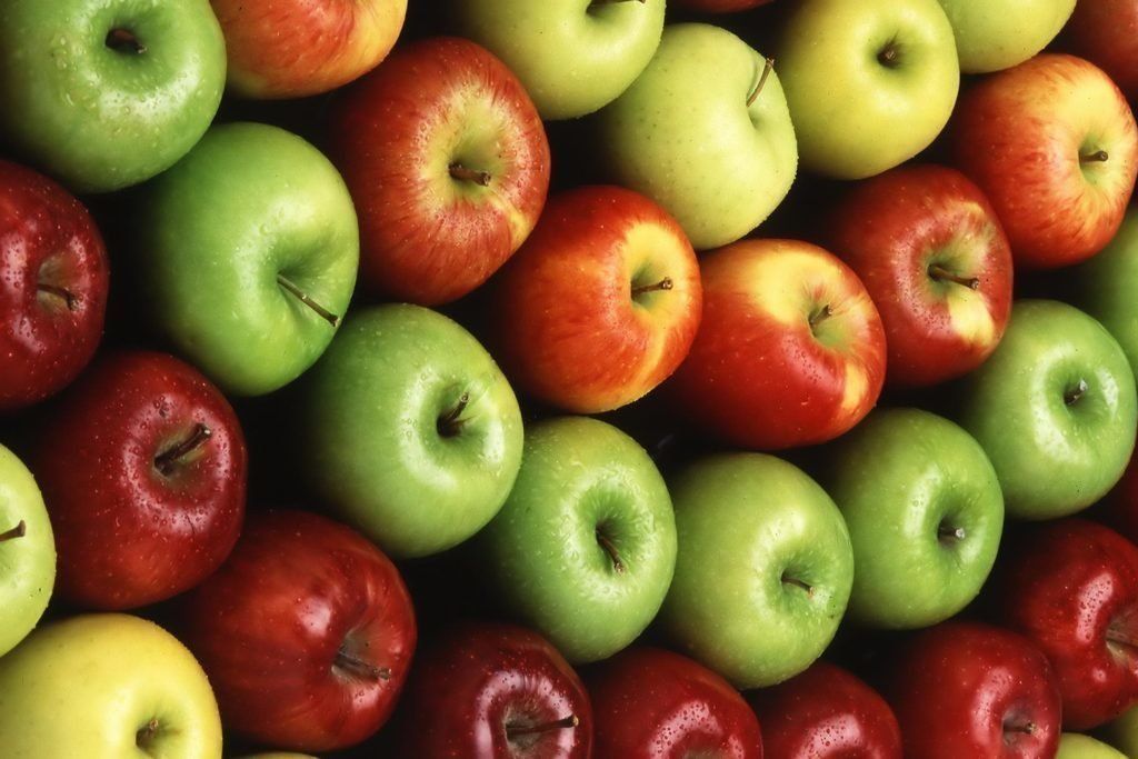 Why Apples Don’t Grow on Trees