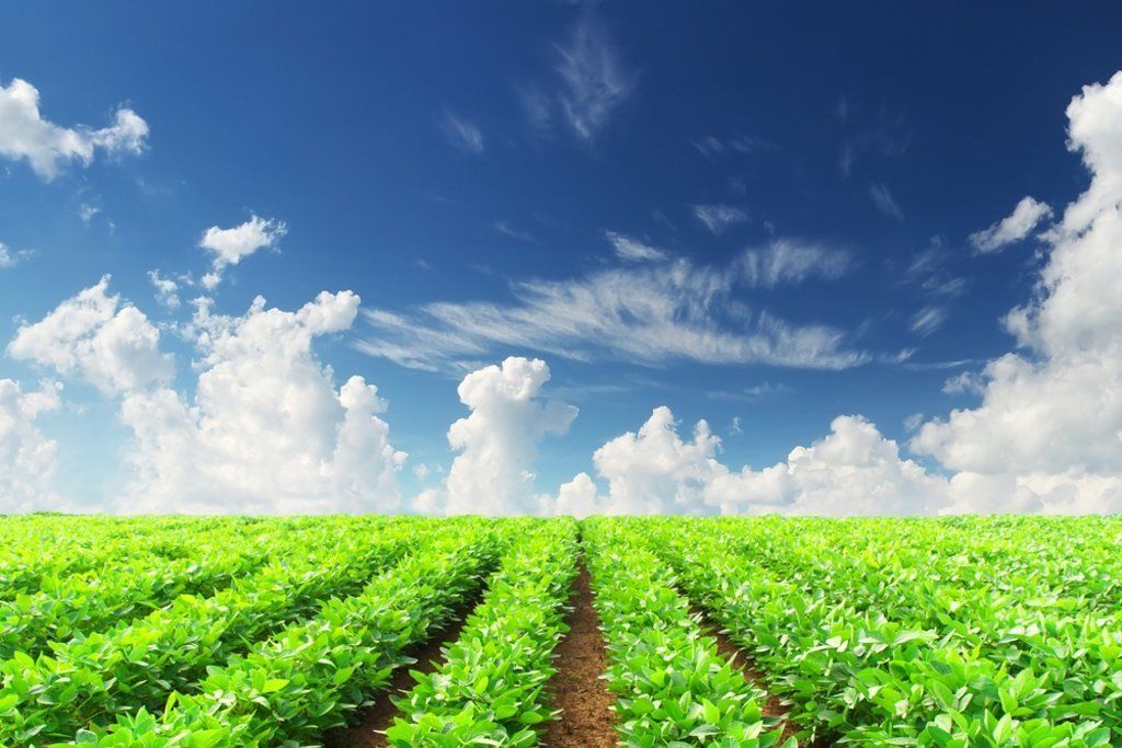 Food for Thought: Why Investing in Agriculture is the Next Big Thing