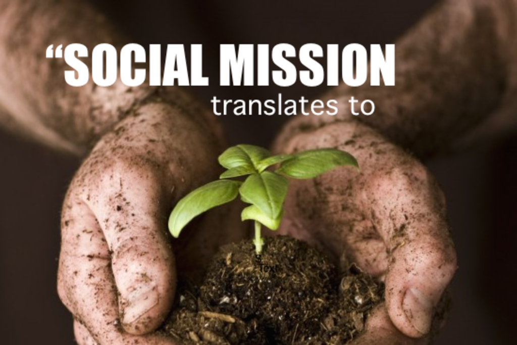 Marrying Successful Business with Social Mission