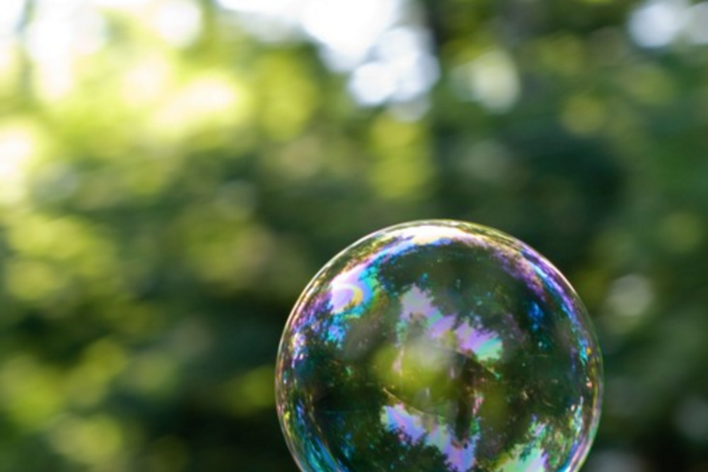 The Entrepreneur’s Guide To Surviving A Tech Bubble